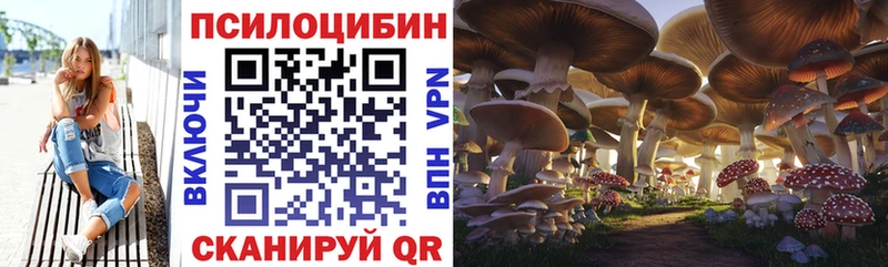 Галлюциногенные грибы ЛСД  как найти закладки  Ядрин 